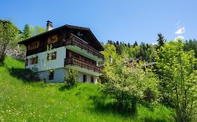 Chalet Orion