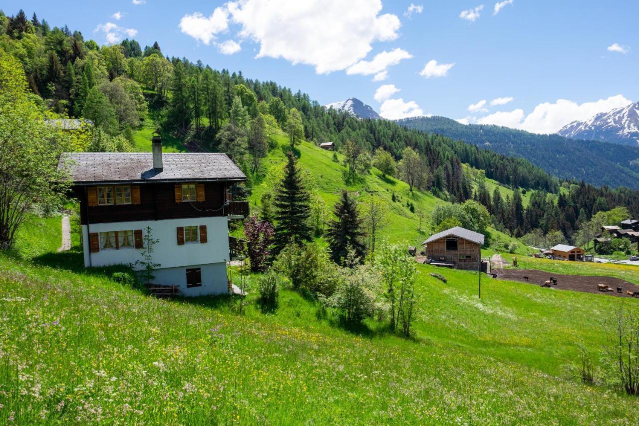 Chalet Orion Bellwald Buitenkant foto